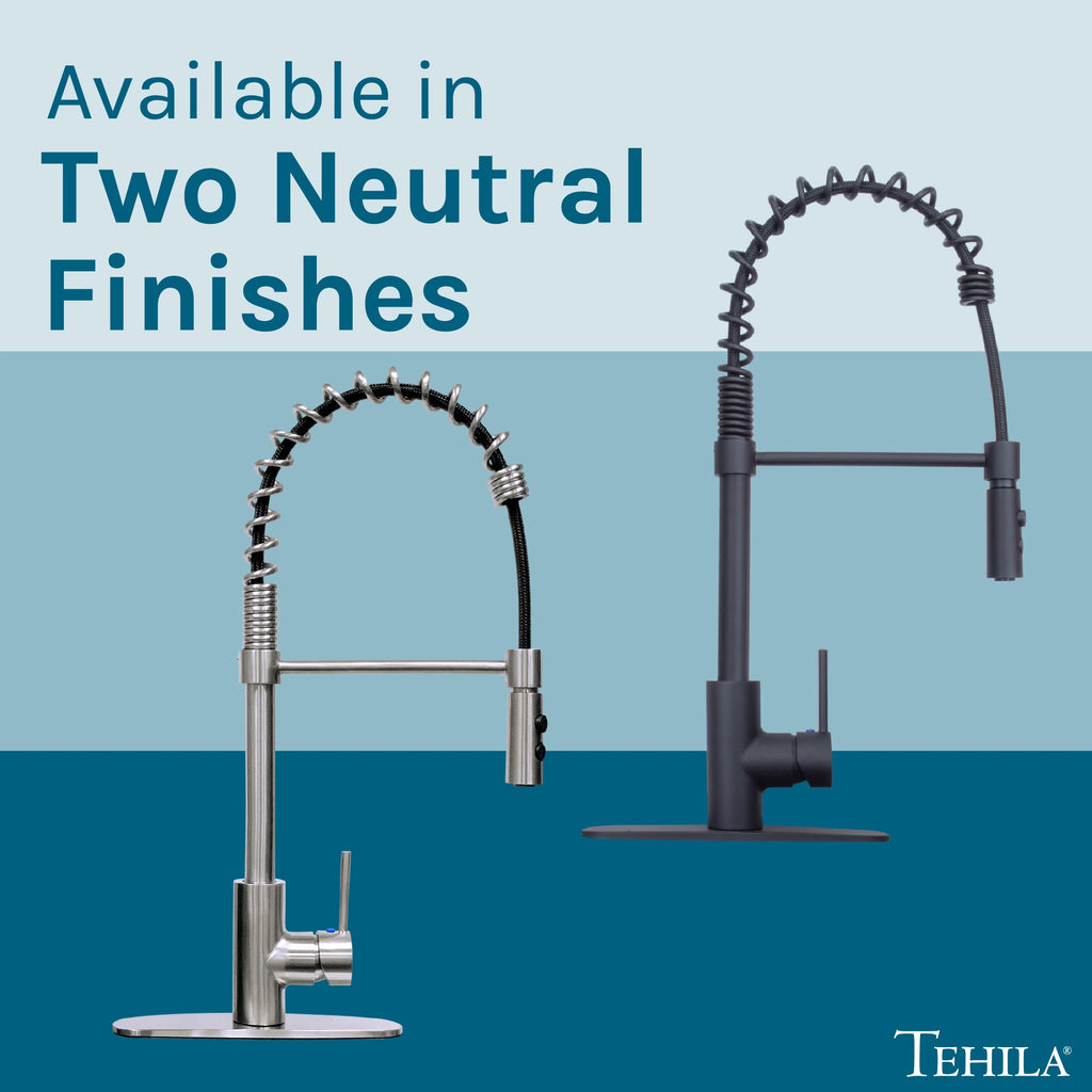 Tehila Stainless Steel Finish High Arc Coil Pull-Down Faucet