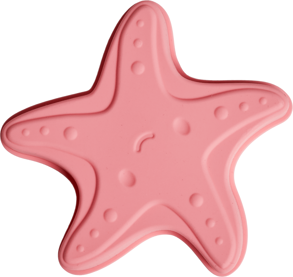 Sea Creatures Beach Toy Set
