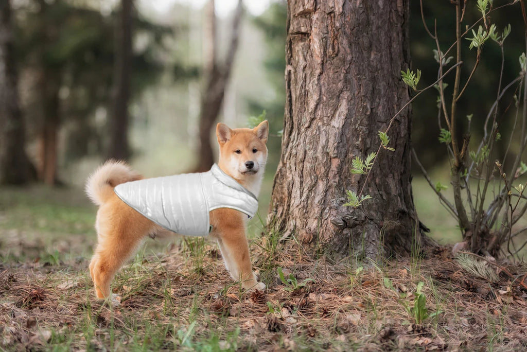 Winter Waterproof Pet Clothing Reversible Dog Clothes Reflective Puppy Jacket for Small Large Dogs Labrador French Bulldog Coat