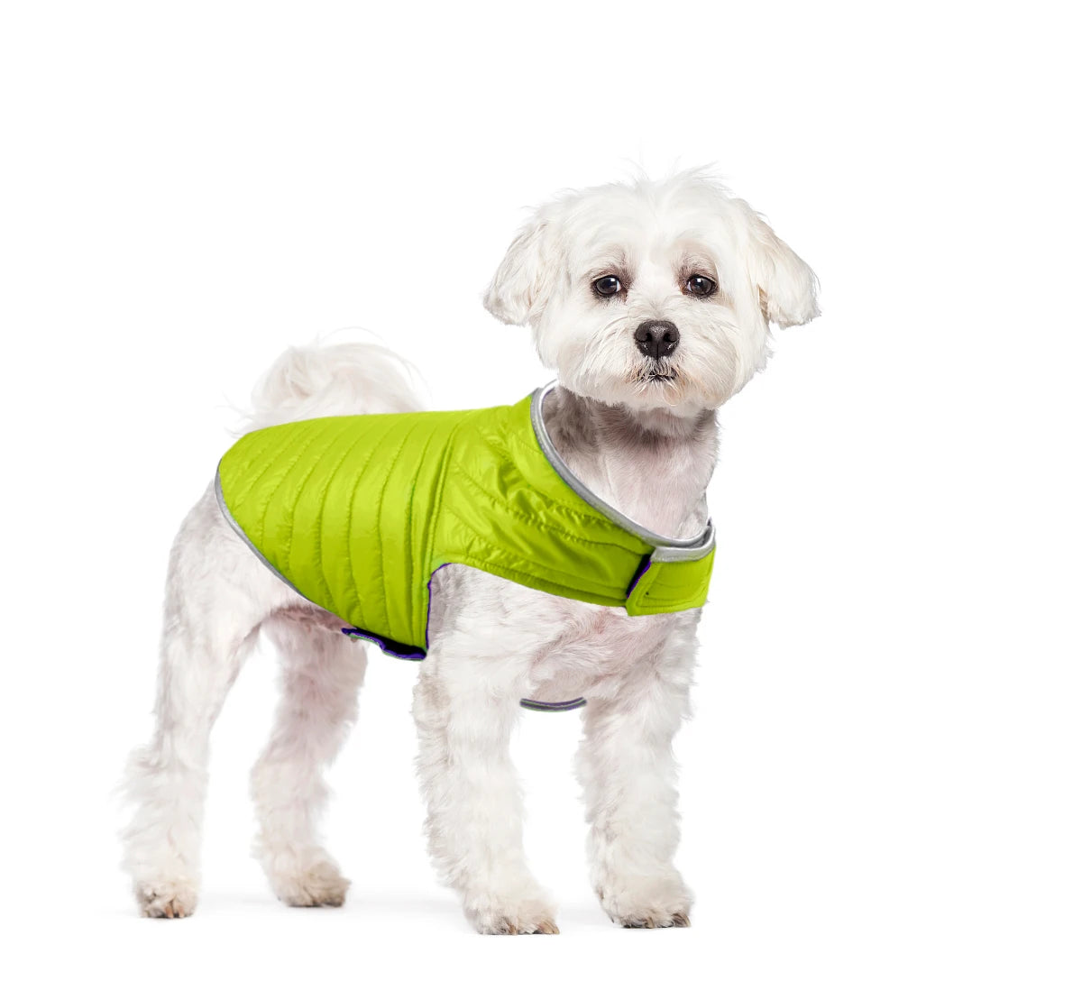 Winter Waterproof Pet Clothing Reversible Dog Clothes Reflective Puppy Jacket for Small Large Dogs Labrador French Bulldog Coat
