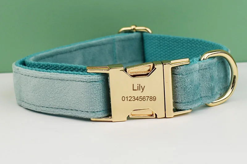 Green Velvet Dog Collar And Leash Set For Small Medium Large Dogs Custom Engraved Nameplate Pet Supplies Dog Leash Velvet29