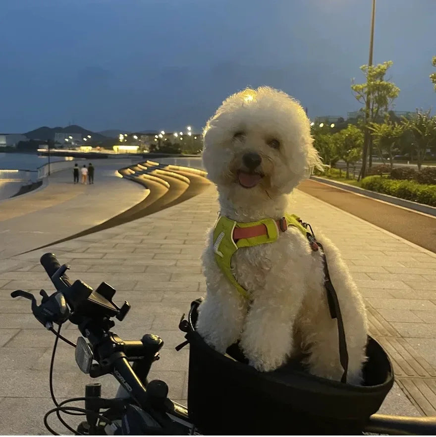 Bicycle Pet Basket Mountain Road Bike with Dog Cat Bag Bike Basket Cross Saddle Pet Products Dog Supplies