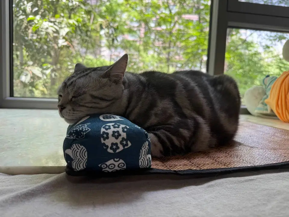 Cat Natural Cooling Mat Summer Pet Self Cooling Pad Cat Bed Mat For Dogs Indoor Rattan Weave Mat Sleeping Cat Bed