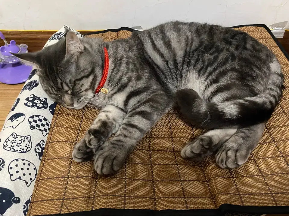 Cat Natural Cooling Mat Summer Pet Self Cooling Pad Cat Bed Mat For Dogs Indoor Rattan Weave Mat Sleeping Cat Bed