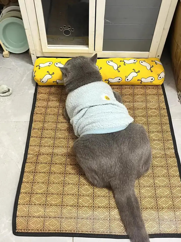 Cat Natural Cooling Mat Summer Pet Self Cooling Pad Cat Bed Mat For Dogs Indoor Rattan Weave Mat Sleeping Cat Bed