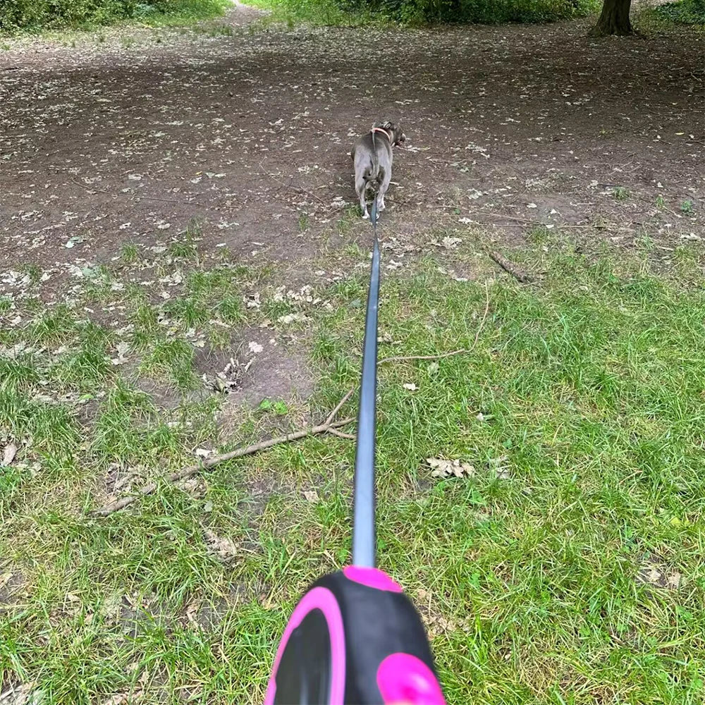 8m Large Dog Leash Retractable Pet Extendable Strap Outdoor Training Puppy Traction Belt For Small Dogs Cat Pug Labrodor Product