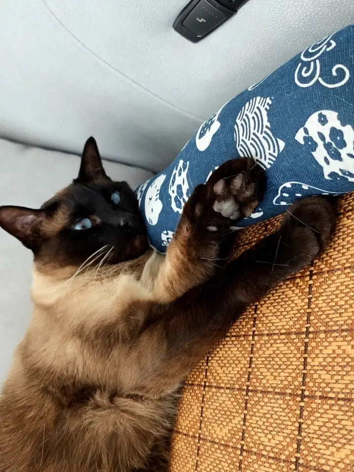 Cat Natural Cooling Mat Summer Pet Self Cooling Pad Cat Bed Mat For Dogs Indoor Rattan Weave Mat Sleeping Cat Bed