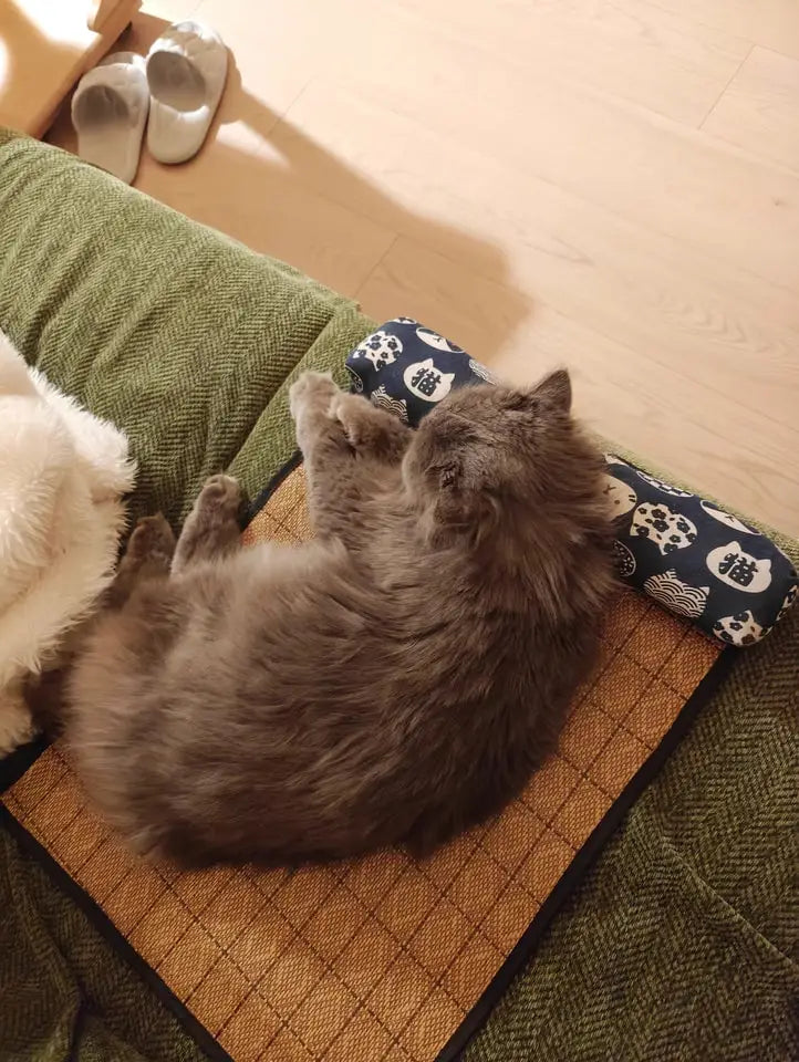 Cat Natural Cooling Mat Summer Pet Self Cooling Pad Cat Bed Mat For Dogs Indoor Rattan Weave Mat Sleeping Cat Bed