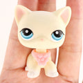 More Toys Lovely Pet Shop Shorthair Cat Dachshund Collie Deer Husky Wolf with Accessories Set