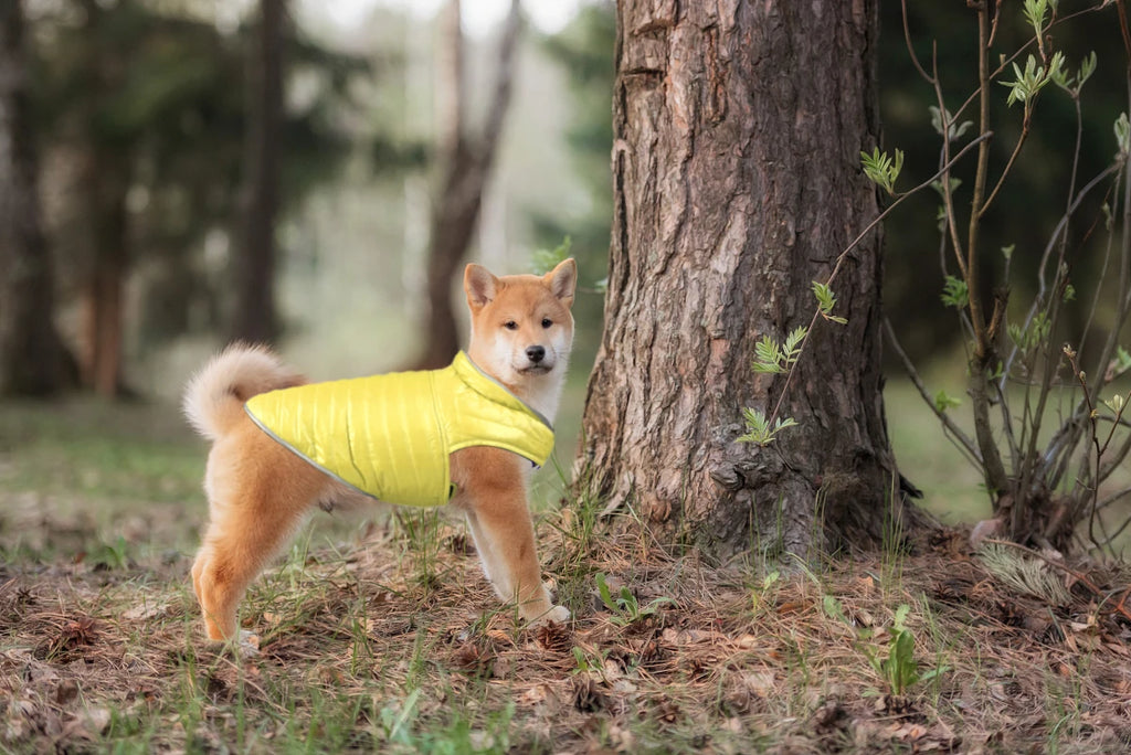 Winter Waterproof Pet Clothing Reversible Dog Clothes Reflective Puppy Jacket for Small Large Dogs Labrador French Bulldog Coat