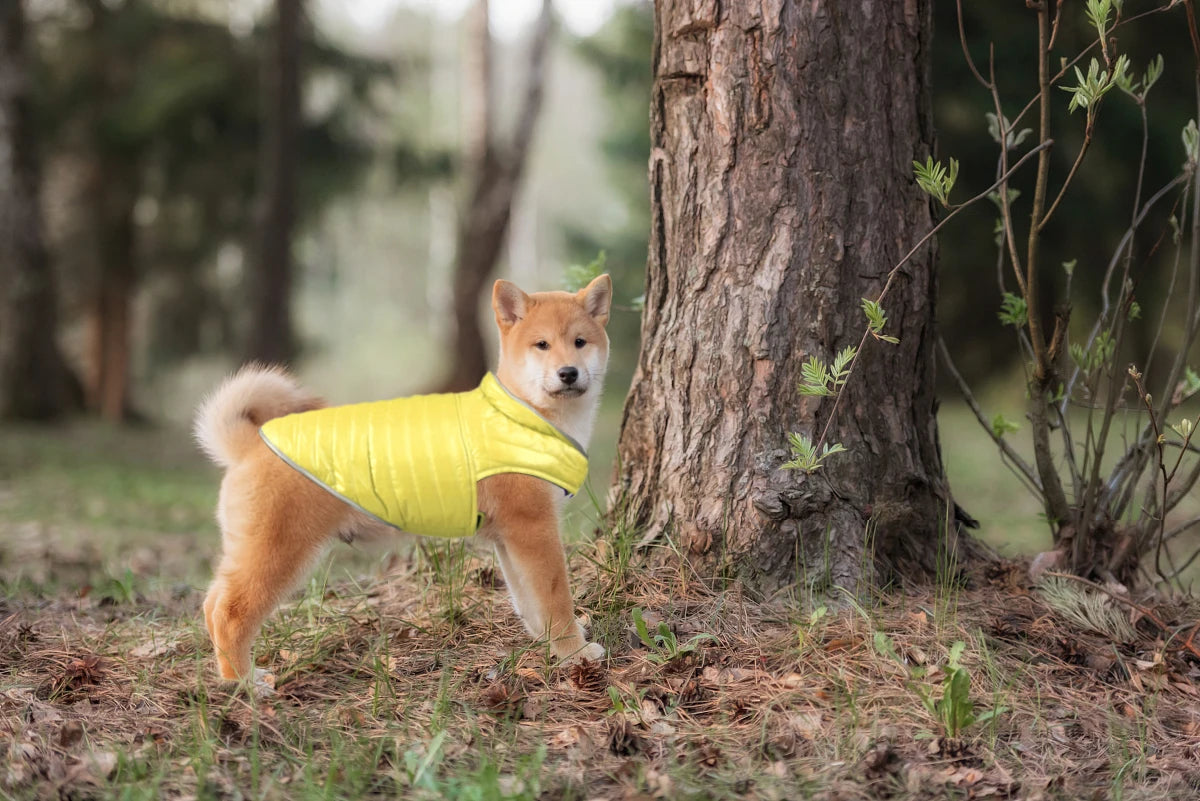 Winter Waterproof Pet Clothing Reversible Dog Clothes Reflective Puppy Jacket for Small Large Dogs Labrador French Bulldog Coat