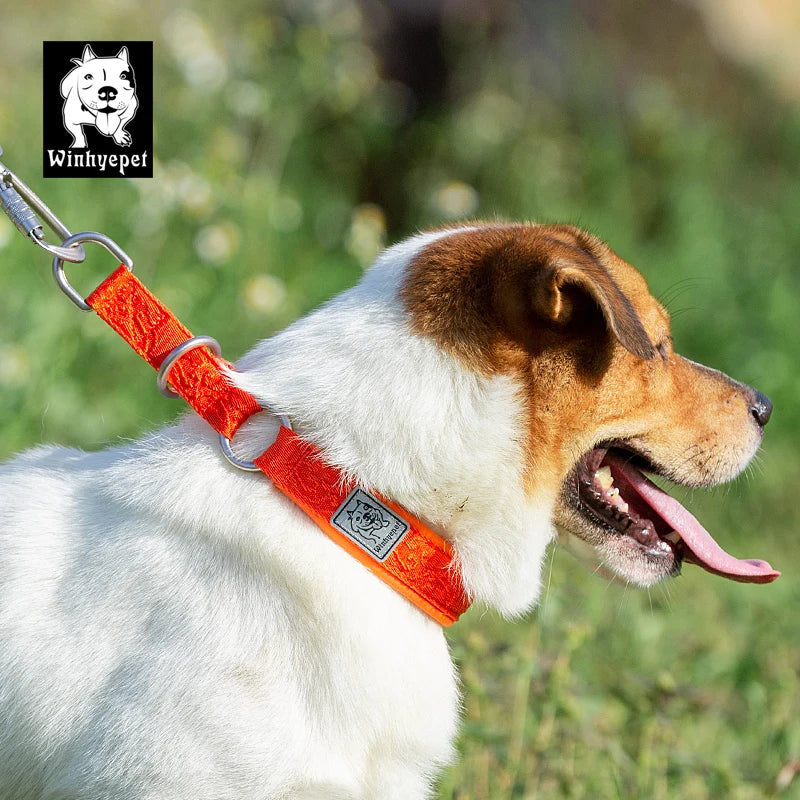 Winhyepet Pet Dog Collar P-chain No Pull Walking Traveling Light 3M Reflection Liner for Great & Small Puppy Bulldog  YC1851
