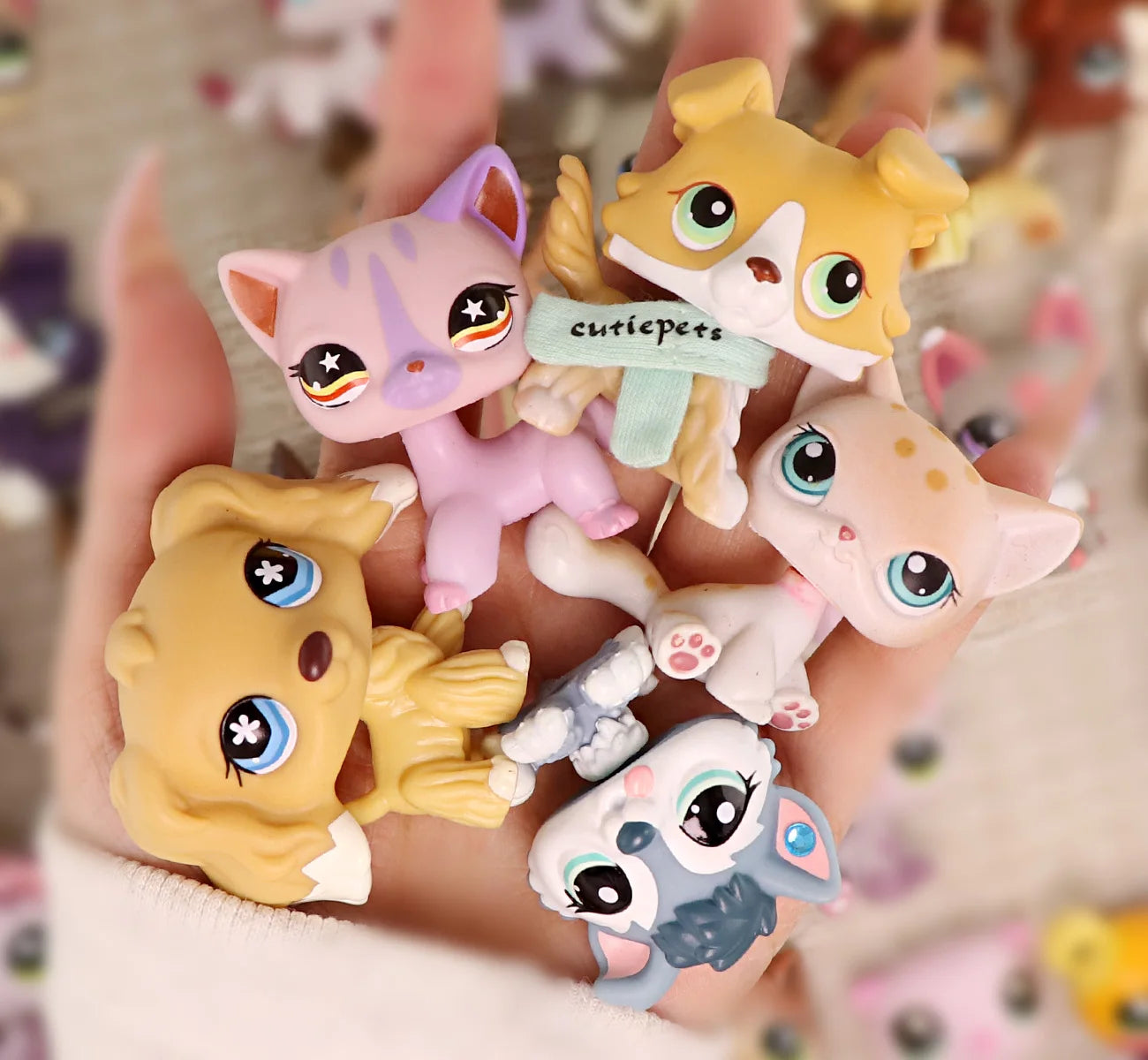 More Toys Lovely Pet Shop Shorthair Cat Dachshund Collie Deer Husky Wolf with Accessories Set