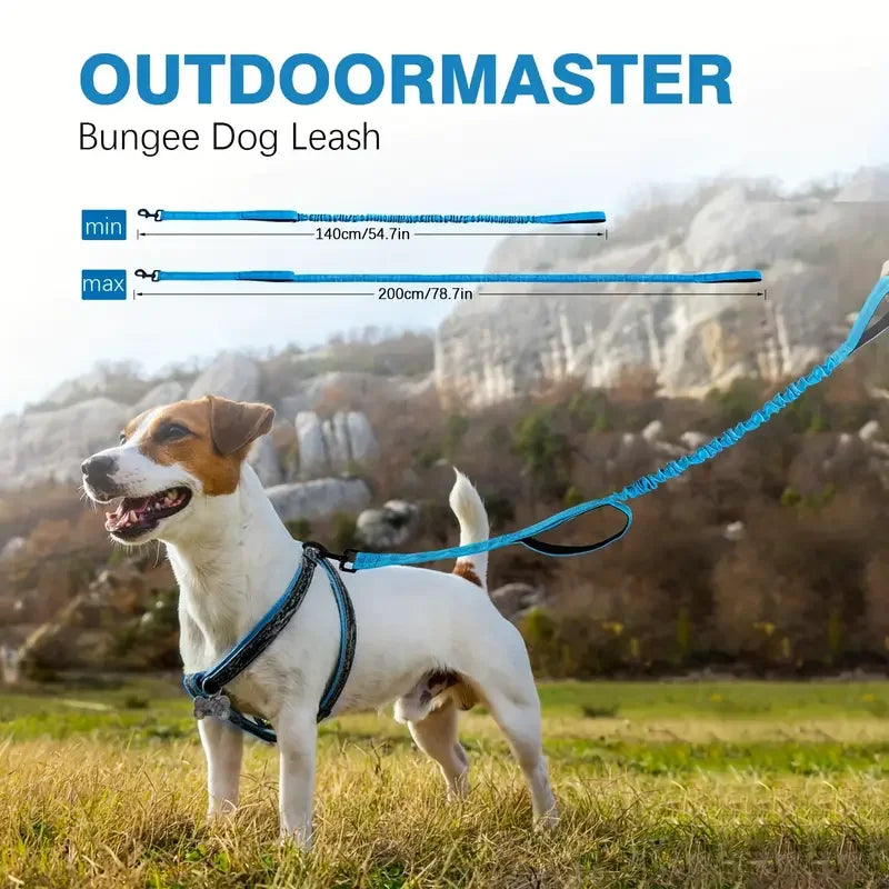 Heavy Duty Bungee Dog Leash, 5-Foot Shock Absorbing Polyester Lead with Dual Padded Handles, Adjustable Waist and Secure Buckle