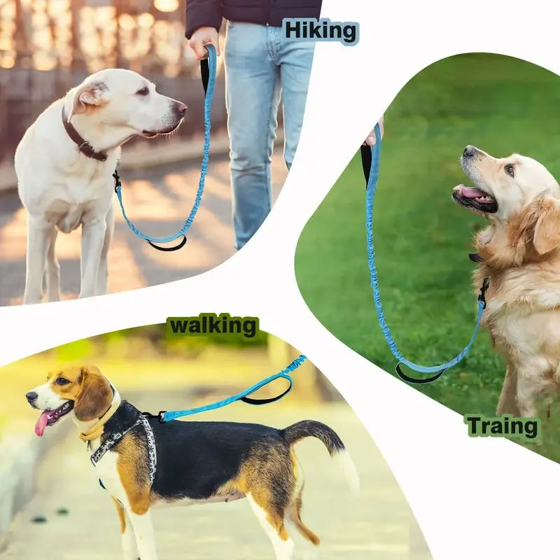 Heavy Duty Bungee Dog Leash, 5-Foot Shock Absorbing Polyester Lead with Dual Padded Handles, Adjustable Waist and Secure Buckle