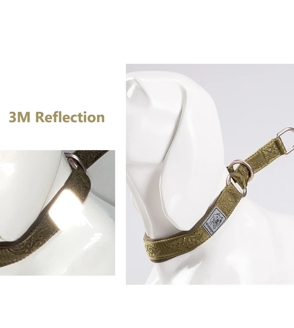 Winhyepet Pet Dog Collar P-chain No Pull Walking Traveling Light 3M Reflection Liner for Great & Small Puppy Bulldog  YC1851