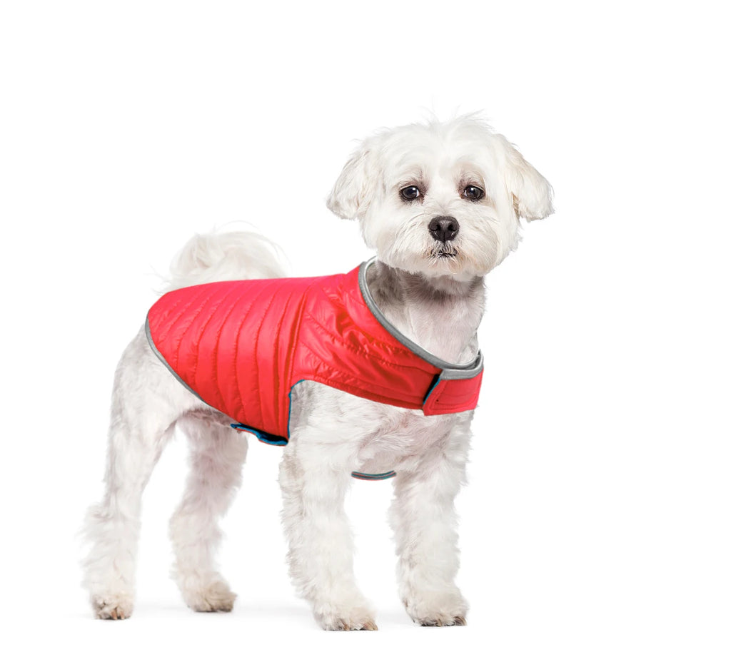 Winter Waterproof Pet Clothing Reversible Dog Clothes Reflective Puppy Jacket for Small Large Dogs Labrador French Bulldog Coat