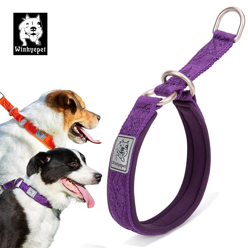 Winhyepet Pet Dog Collar P-chain No Pull Walking Traveling Light 3M Reflection Liner for Great & Small Puppy Bulldog  YC1851